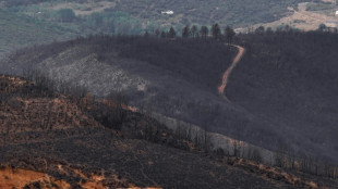 Espa&ntilde;a da por finalizada la emergencia por la ola de incendios forestales