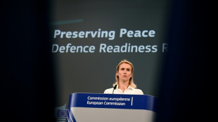 Face à la Russie, l'UE défend son projet de "mur" antidrones