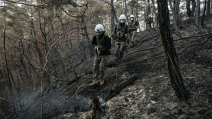 Incendies en Cor&eacute;e du Sud: le bilan s'alourdit &agrave; 28 morts, les pluies offrent un peu de r&eacute;pit