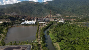 La tonelada de n&iacute;quel supera brevemente el r&eacute;cord de 100.000 d&oacute;lares por la crisis ucraniana