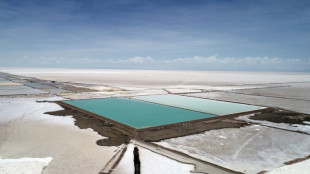 Entre d&eacute;fis et attentes, la Bolivie &agrave; la peine dans la course au lithium