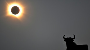 As millions gazed in awe, a swathe of Spain plunged into darkness
