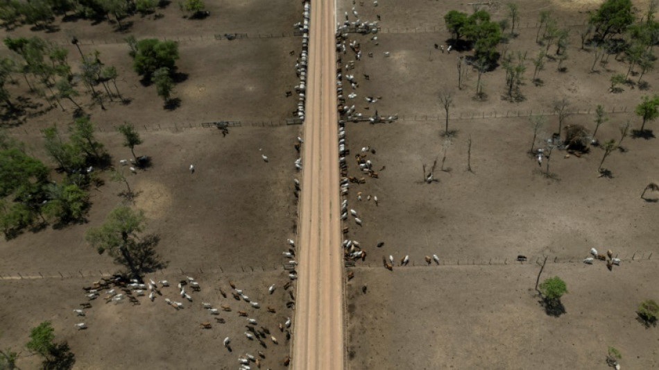 El motor agrícola de Bolivia espera el cambio de gobierno para reactivar la marcha