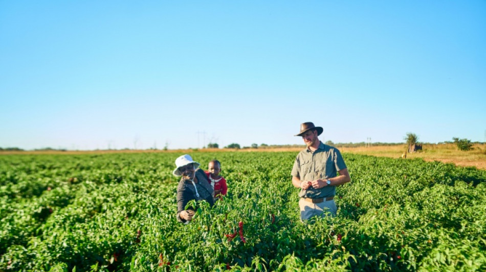 Zimbabwe's farmers push on as land grab compensation flounders