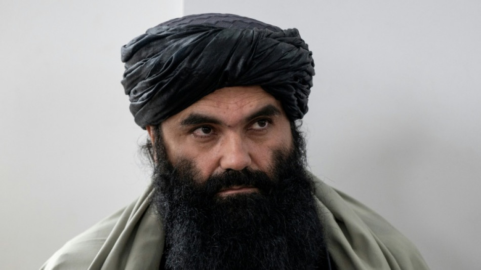 Gr&uuml;ne kritisieren Bundesregierung f&uuml;r Zusammenarbeit mit Taliban