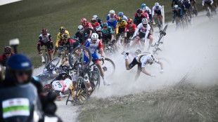 Cyclisme: Alaphilippe de nouveau &agrave; terre &agrave; un mois du Mondial