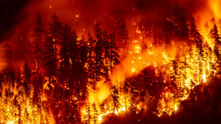 Los incendios forestales deterioran la calidad del aire a grandes distancias, seg&uacute;n la ONU 