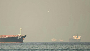 Iranische Abgeordnete wollen Geb&uuml;hren f&uuml;r Fahrt durch Stra&szlig;e von Hormus erheben