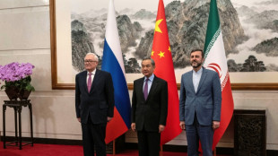 Ir&aacute;n confirma su "determinaci&oacute;n" a cooperar con la OIEA en materia nuclear