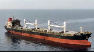 Ten rescued after deadly Huthi ship sinking off Yemen