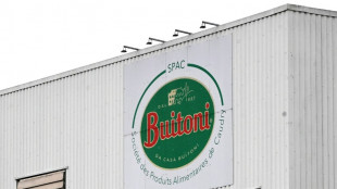 Buitoni: le pr&eacute;fet du Nord interdit la production de pizzas dans l'usine 