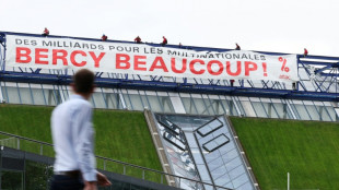 En face du minist&egrave;re de l'Economie, Attac d&eacute;nonce les aides publiques aux multinationales