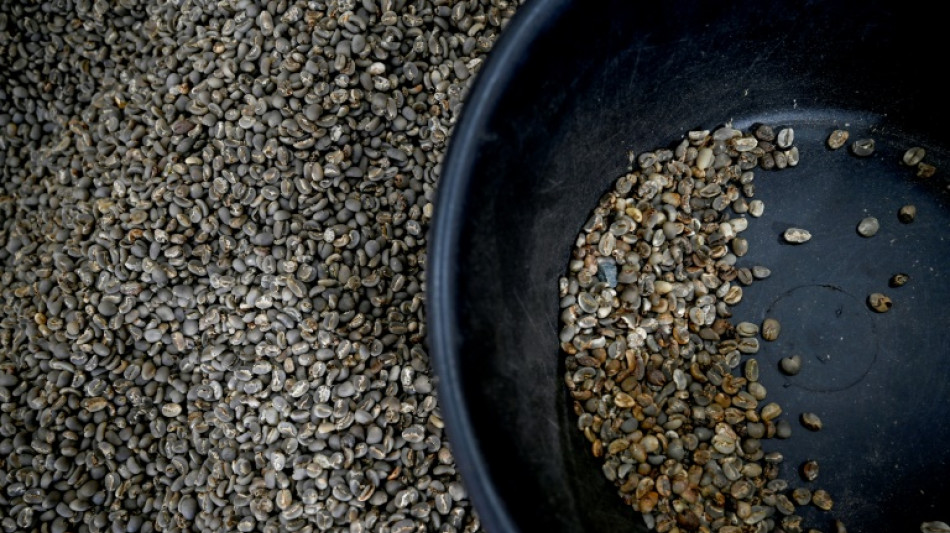 Nestl&eacute; annonce un investissement dans l'agriculture "durable" du caf&eacute;