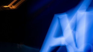 Ni femmes, ni profils "exotiques" : quand l'IA est programm&eacute;e pour discriminer