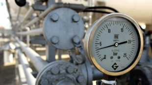 Il prezzo del gas a 53,65 euro con le tensioni nello stretto di Hormuz