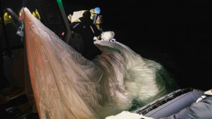 Vigilance accrue dans les cieux d'Am&eacute;rique du Nord apr&egrave;s les myst&eacute;rieux objets volants