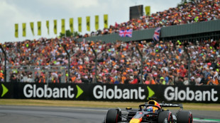 Shining Verstappen shades Piastri for pole at Silverstone