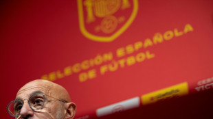 "M&aacute;ximo respeto" a la dimisi&oacute;n de Rubiales, dice De la Fuente