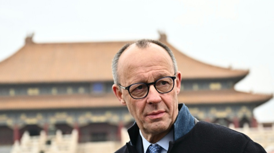 Merz says Germany, China must overcome trade gaps 'together'