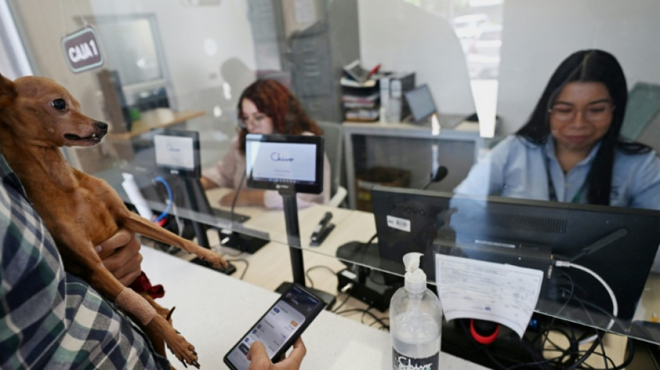 El Salvador ha ganado USD 443 millones por alza del bitc&oacute;in desde 2021