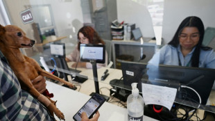 El Salvador lucrou US$ 443 milhões com alta do bitcoin desde 2021