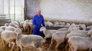 La extrema derecha cosecha votos entre los agricultores descontentos de la España rural