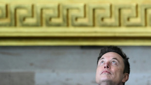 Musk n&atilde;o dirige o DOGE, esclarece Casa Branca