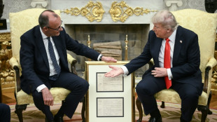 Germany's Merz survives Trump test, despite Ukraine differences