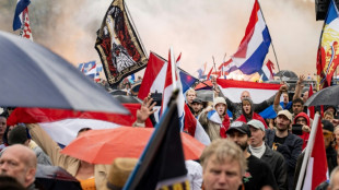 Pays-Bas: 37 arrestations apr&egrave;s une manifestation anti-immigration