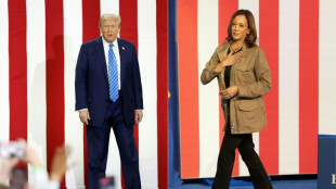 Droit &agrave; l'avortement et fronti&egrave;re: Harris et Trump font un d&eacute;tour au Texas
