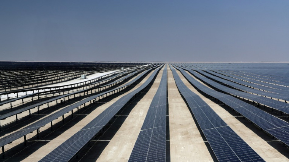"Personne ne peut arr&ecirc;ter" le progr&egrave;s des renouvelables, insiste le patron de l'IRENA


