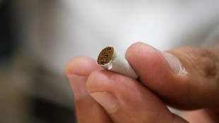 Swiss vote on banning tobacco advertising, animal testing