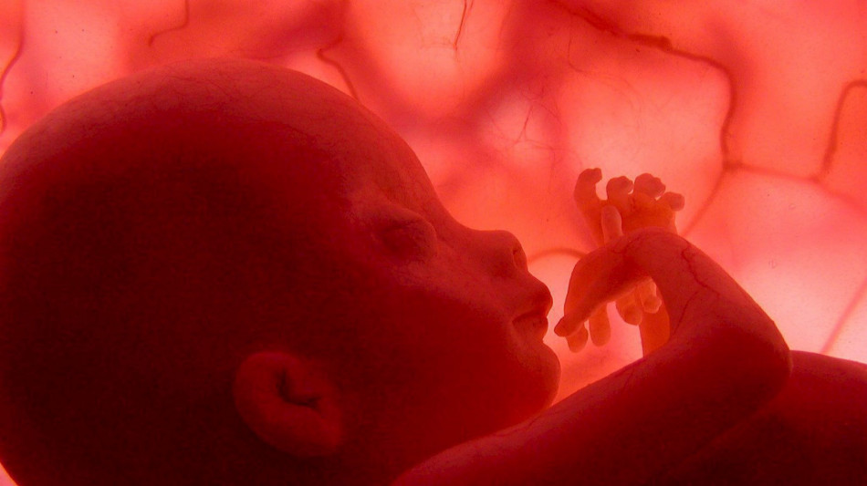 Identificate 300 malattie genetiche curabili già prima del parto