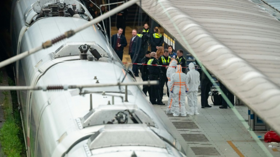 Attaque au couteau &agrave; Hambourg: la suspecte atteinte de troubles mentaux