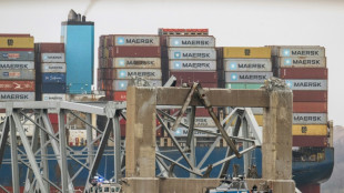 Une premi&egrave;re grue d&eacute;ploy&eacute;e &agrave; Baltimore pour d&eacute;gager les d&eacute;bris du pont effondr&eacute;