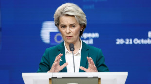 La Comisi&oacute;n Europea propone una alternativa a la idea de precio tope para el gas
