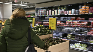 US firms plan to pass Trump tariff costs to consumers: Fed minutes