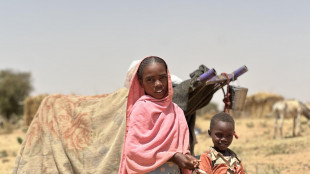 Onu, in Sudan si preparano scontri più intensi nel Kordofan