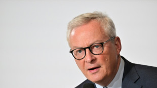 Automobile: Le Maire tente de rassurer le secteur face &agrave; sa "r&eacute;volution" &eacute;lectrique