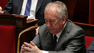 Retraites: Bayrou d&eacute;fend des "avanc&eacute;es" et donne rendez-vous au Parlement &agrave; l'automne