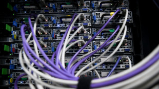 Data centers en &Icirc;le-de-France: gourmands en m&eacute;gawatts, avares en emplois