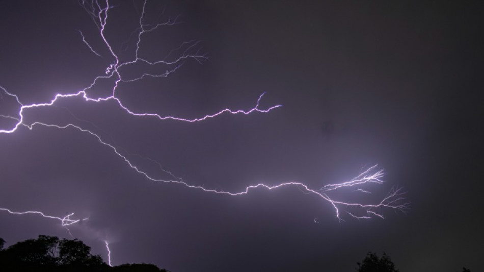 Orages: 28 départements en vigilance orange, une femme tuée par une chute d'arbre