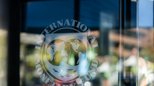 IMF proposes US Treasury official as second-in-command