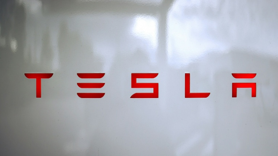 Musk: Tesla-Aktion&auml;re sollen in KI-Startup xAI investieren