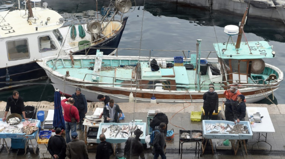 En Méditerranée, les poissons cherchent la fraîcheur et ça recompose nos assiettes