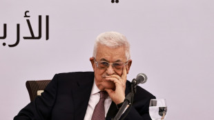 Presidente de Autoridad Palestina dice que reconocimiento del Estado llevará a "paz duradera"