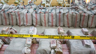 Global cocaine market hit new record highs: UNODC 