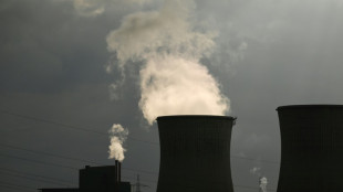 German gas drive fuels fears of climate backsliding