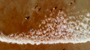 Argentine: "mar&eacute;e rouge" d'algues sur les plages atlantiques