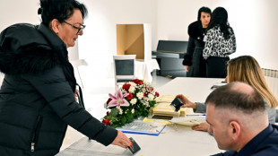 Le candidat du leader des Serbes de Bosnie déchu remporte la présidence 